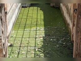 राजस्थान के 700 बावड़ियों के अस्तित्व पर खतरा, पैसा मिलने के बाद भी नहीं शुरू हुआ काम