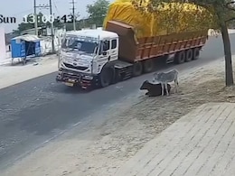 बैलेंस खोते ही पलट गया ओवरलोड ट्रक, सैकड़ों बोरियों के नीचे दब गया सड़क किनारे बैठा बेजुबान, VIDEO देख फूटा लोगों का गुस्सा बैलेंस खोते ही पलट गया ओवरलोड ट्रक, सैकड़ों बोरियों के नीचे दब गया सड़क किनारे बैठा बेजुबान, VIDEO देख फूटा लोगों का गुस्सा