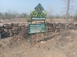 पन्ना टाइगर रिजर्व से 40 हजार पौधे 'लापता', अधिकारियों ने किया 1.88 करोड़ का 'गोलमाल' पन्ना टाइगर रिजर्व से 40 हजार पौधे 'लापता', अधिकारियों ने किया 1.88 करोड़ का 'गोलमाल'