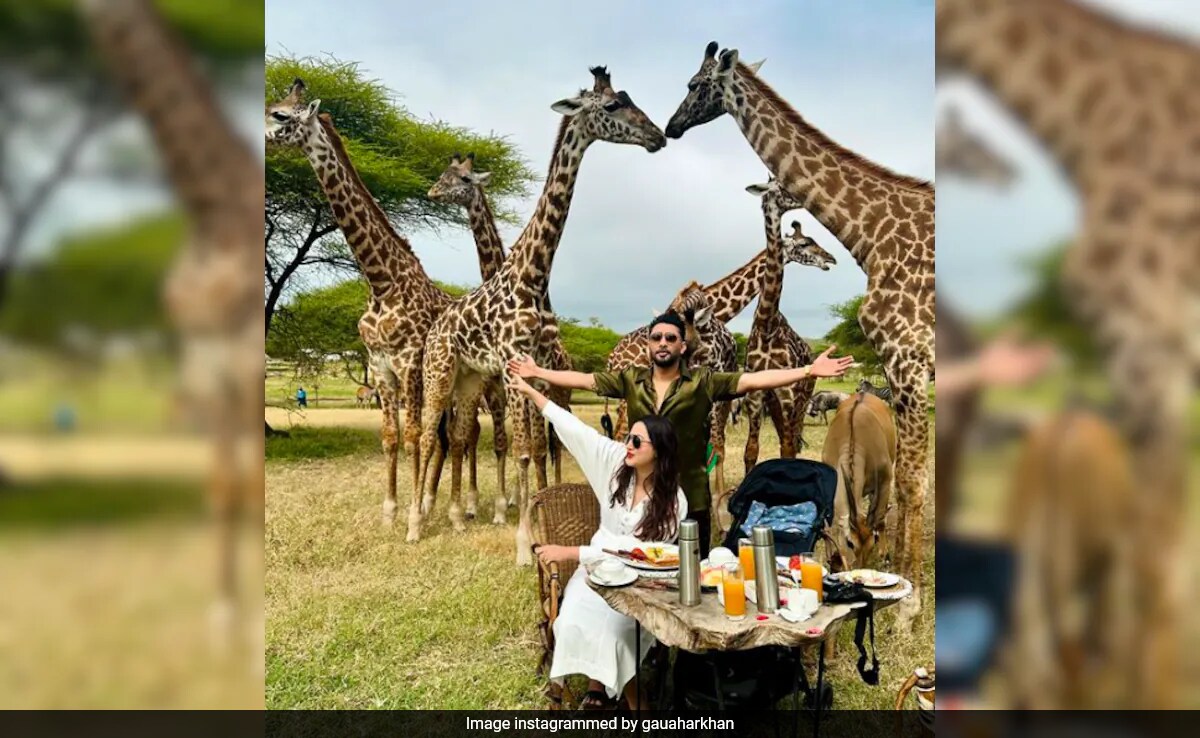 On Gauahar Khan's Holiday Post, Zaid Darbar's Reply To Troll's "<i>Wife Ke Paise</i>" Comment