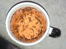 न्यूट्रिशनिस्ट की बताई ये 3 डिटॉक्स ड्रिंक्स पी लीं तो ना रहेगी बढ़ते वजन की चिंता ना खराब होगा पेट, जानिए बनाने का तरीका  न्यूट्रिशनिस्ट की बताई ये 3 डिटॉक्स ड्रिंक्स पी लीं तो ना रहेगी बढ़ते वजन की चिंता ना खराब होगा पेट, जानिए बनाने का तरीका