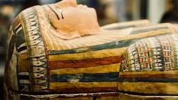 Medieval Mummies "Beyond Repair" After Dublin Church Fire