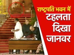 राष्ट्रपति भवन में शपथ ग्रहण के वक्त टहल रहा था कौन सा जानवर, दिल्ली पुलिस ने बताया