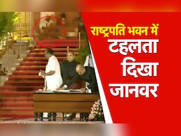 VIDEO: राष्ट्रपति भवन में शपथ ले रहे थे मंत्री, पीछे से गुजरता दिखा 'जानवर', कोई कह रहा बिल्ली तो कोई तेंदुआ VIDEO: राष्ट्रपति भवन में शपथ ले रहे थे मंत्री, पीछे से गुजरता दिखा 'जानवर', कोई कह रहा बिल्ली तो कोई तेंदुआ