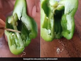 शिमला मिर्च खाने वाले हो जाएं सावधान! महिला ने काटा Capsicum तो अंदर से रेंगते हुए निकली ऐसी चीज, घबरा गए लोग शिमला मिर्च खाने वाले हो जाएं सावधान! महिला ने काटा Capsicum तो अंदर से रेंगते हुए निकली ऐसी चीज, घबरा गए लोग