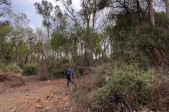 South Delhi में सड़क चौड़ी करने के लिए काटे गए 1100 पेड़? भड़का SC, Contempt of Court का नोटिस जारी South Delhi में सड़क चौड़ी करने के लिए काटे गए 1100 पेड़? भड़का SC, Contempt of Court का नोटिस जारी