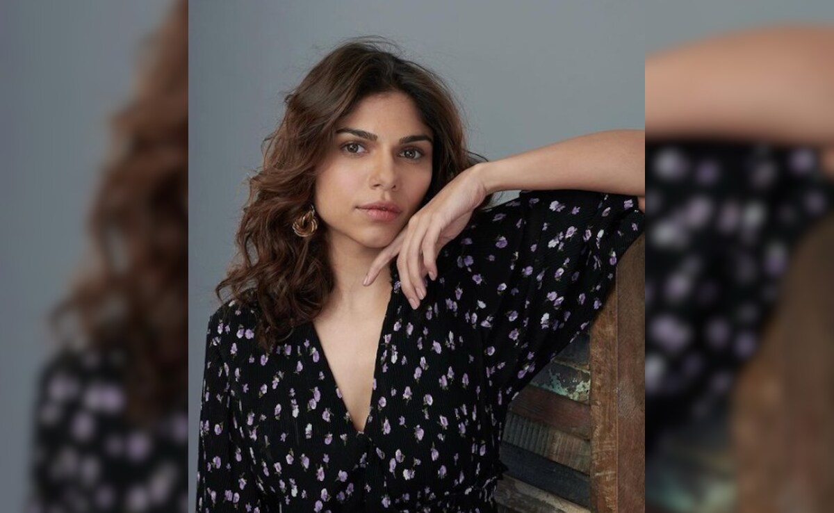 Heeramandi Star Sharmin Segal Shuts Down Trolls: "We Tend To Fixate On The Negatives"