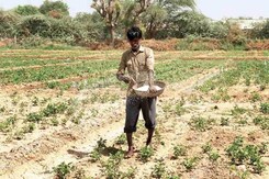 बेमेतरा: बिना कर्ज लिए कैसे 'कर्जदार' बने किसान! बेमेतरा: बिना कर्ज लिए कैसे 'कर्जदार' बने किसान!