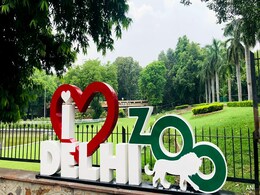 Delhi Zoo Introduces Ayurvedic Methods To Keep Animals Healthy, Infection-Free Delhi Zoo Introduces Ayurvedic Methods To Keep Animals Healthy, Infection-Free