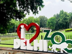 Rodenticides Traces Found In Dead Chousinghas At Delhi Zoo, Reveals Report