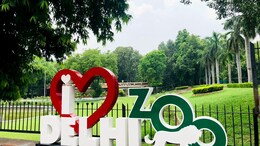 Rodenticides Traces Found In Dead Chousinghas At Delhi Zoo, Reveals Report