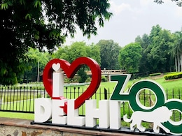 Rodenticides Traces Found In Dead Chousinghas At Delhi Zoo, Reveals Report