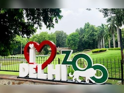 New Year Rush: Delhi Zoo Welcomes Over 25,000 Visitors