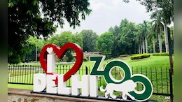New Year Rush: Delhi Zoo Welcomes Over 25,000 Visitors