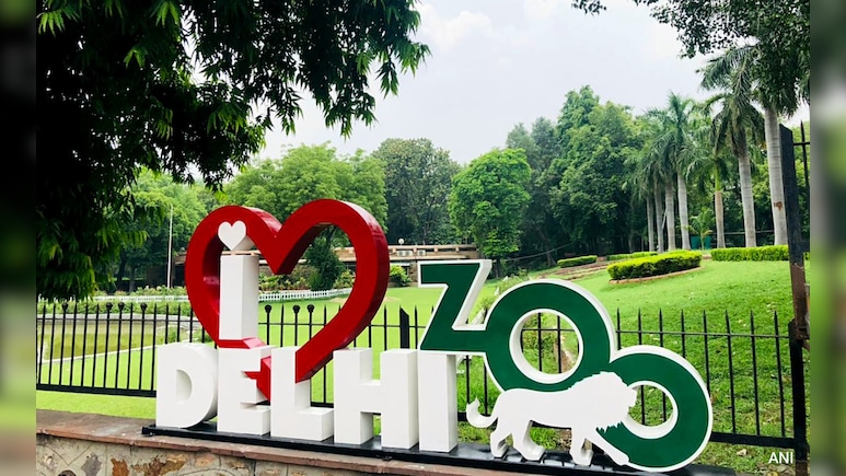 दिल्ली के चिड़ियाघर में फिर लौटी रौनक, अब टिकट बुक करना हुआ आसान