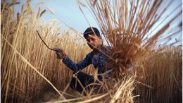 प्रधानमंत्री फसल बीमा योजनाः खरीफ फसलों के लिए डेट लाइन तय, जानिए कितना देना होगा प्रीमियम