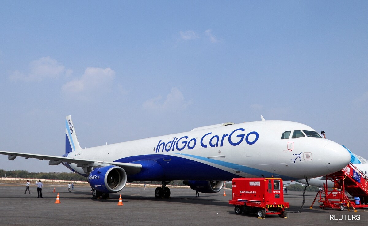 "Unable To Walk Since Mid August": IndiGo Passenger Falls On Plane Ramp, Airline Apologises