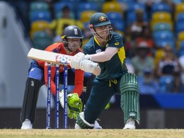 "Time Now To Keep Playing IPL...": David Warner On Farewell Outing For Australia