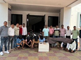 मुंबईच्या चोरासोबतच स्कॅम! 2 कोटींच्या दरोड्यासाठी मोठी तयारी, पण तोंडघशी पडले; नेमकं काय घडलं?