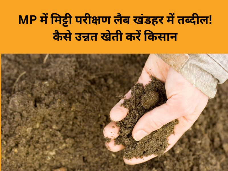 किसानों को लेकर विभाग लापरवाह! करोड़ों खर्च के बावजूद MP में शो-पीस बनकर रह गई मिट्टी परीक्षण केंद्र