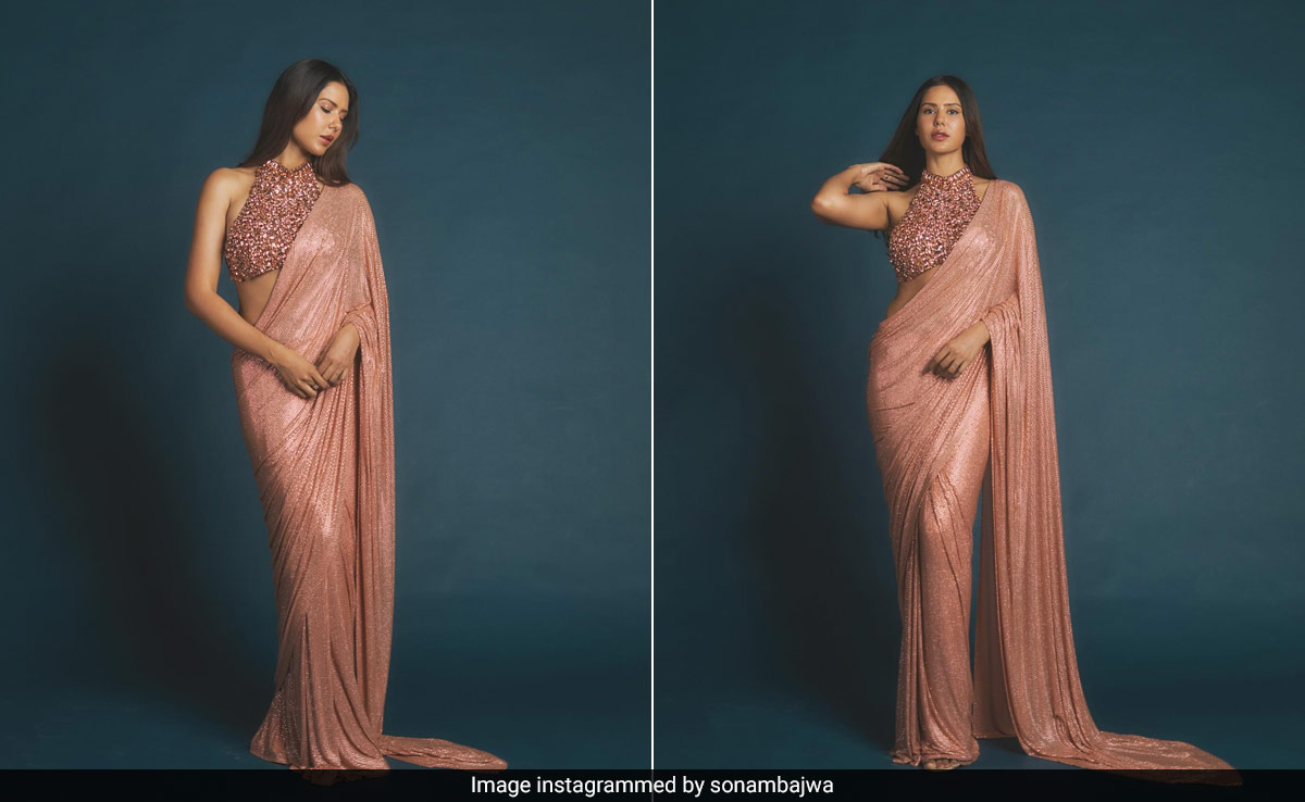 The Stars Aligned When Sonam Bajwa Met This Rs 1.5 Lakh Rose Gold <i>Saree</i>