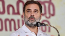 "When I Faced Abuse...": Rahul Gandhi's Thank You Note For Wayanad