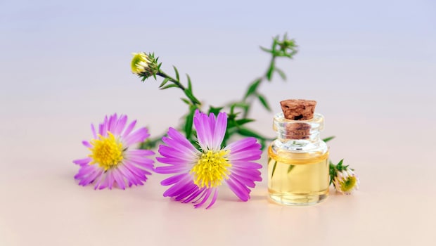 Perfumes: Turn any boring day into an interesting one