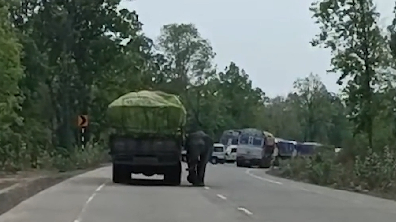 कोरबा: गजराज को आया गुस्सा, तोड़ी बाइक, बाल-बाल बचा युवक