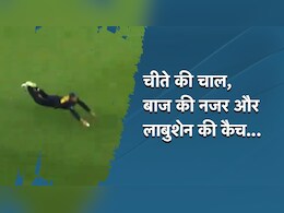 VIDEO: तूफानी कैच के लिए मार्नस लाबुशेन ने दांव पर लगाया जान, अब दुनिया कर रही उन्हें सलाम