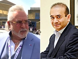 Vijay Mallya, Nirav Modi Fled As Probe Agencies Didn't Arrest Them At Proper Time: Court Vijay Mallya, Nirav Modi Fled As Probe Agencies Didn't Arrest Them At Proper Time: Court
