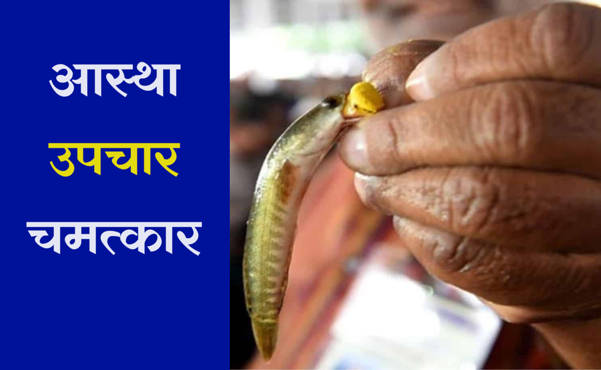 Fish Medicine 2024: अस्थमा रोगियों के लिए मछली प्रसादम शुरु, जानिए कैसे ठीक करते हैं बीमारी