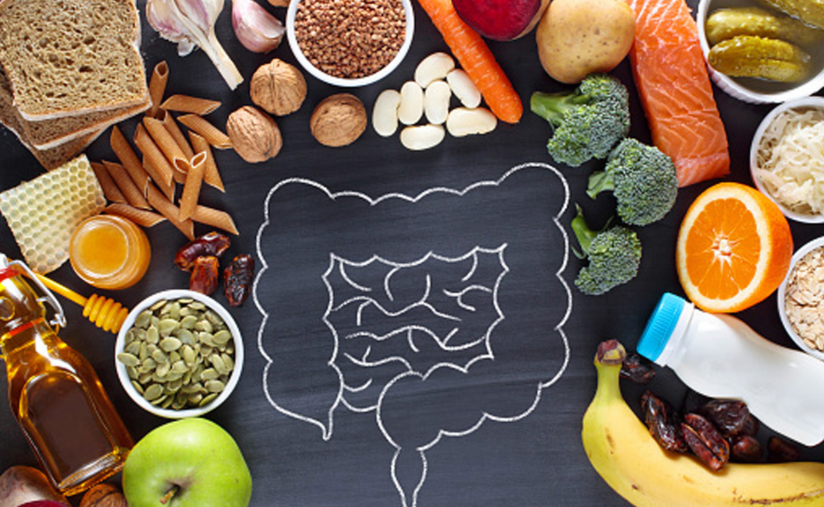 A healthier gut leads to better digestion, reduced inflammation, improved mood, etc.