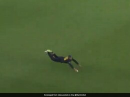 Watch: Australia Star Marnus Labuschagne Grabs 'Catch Of The Century', Internet Goes Wild