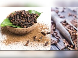 छोटी से लौंग के मिलेंगे बड़े फायदे ! जानिए सेहत के लिए कितनी जरूरी  छोटी से लौंग के मिलेंगे बड़े फायदे ! जानिए सेहत के लिए कितनी जरूरी