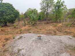 लापरवाही! MGNREGA के तहत पौधारोपण में खर्च हुए 41 लाख रुपये, पर नहीं बच पाया एक भी पौधा लापरवाही! MGNREGA के तहत पौधारोपण में खर्च हुए 41 लाख रुपये, पर नहीं बच पाया एक भी पौधा