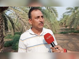 जोधपुर में काजरी के वैज्ञानिकों का कमाल! अब खजूर की खेती से किसान हो जाएंगे मालामाल