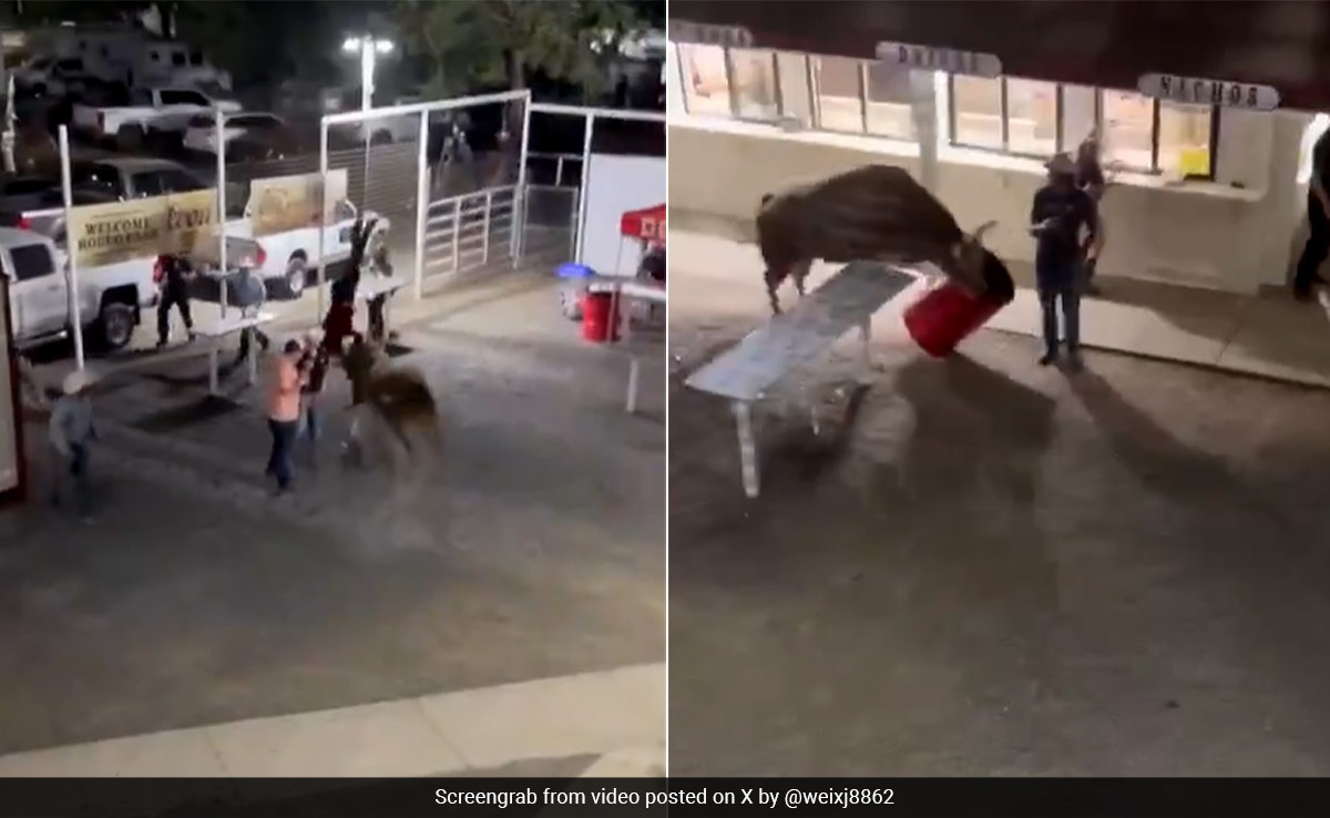 Video: Rodeo Bull Escapes Oregon Arena, Tosses Woman Into Air Twice