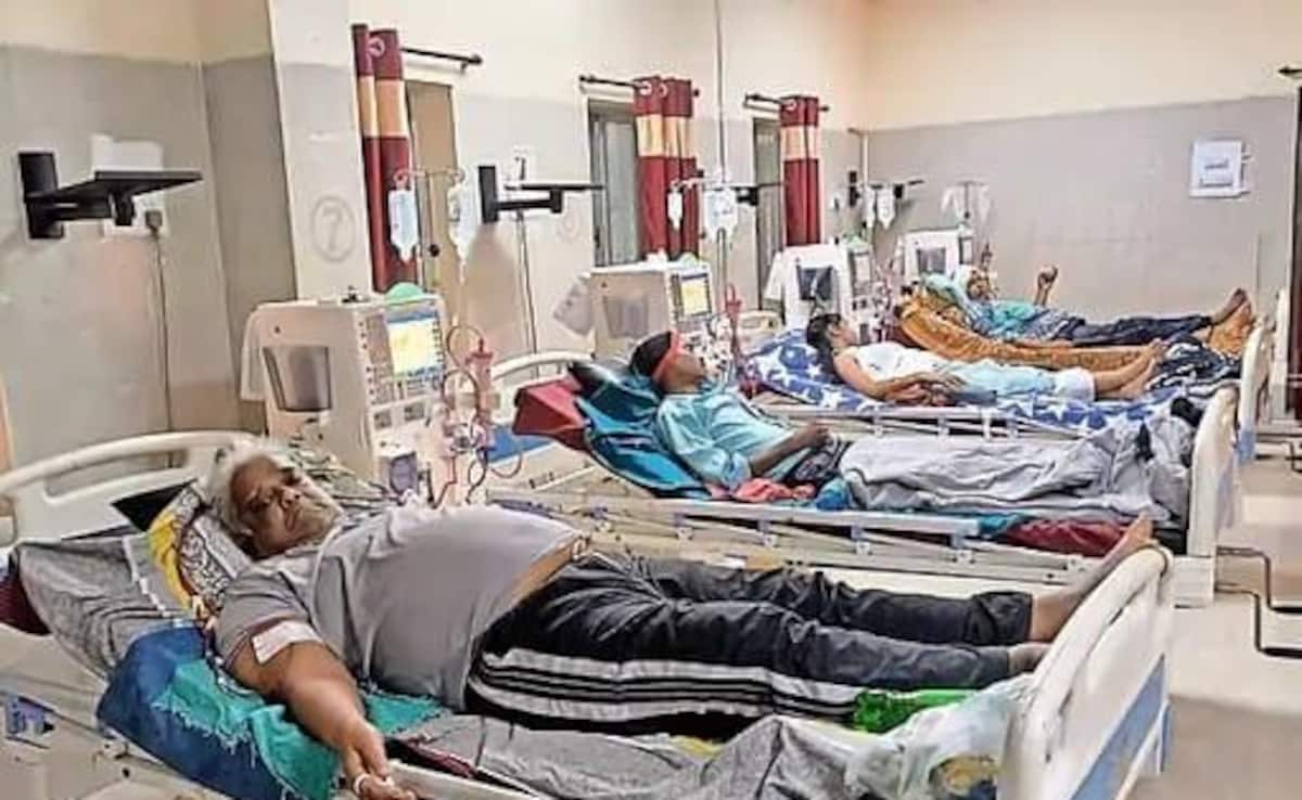 The Art of Baking: From Classic Bread to Artisan Pastries