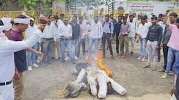 कई जिलों में जले मदन दिलावर के पुतले, थम नहीं रहा 'आदिवासी- डीएनए- हिंदू' विवाद