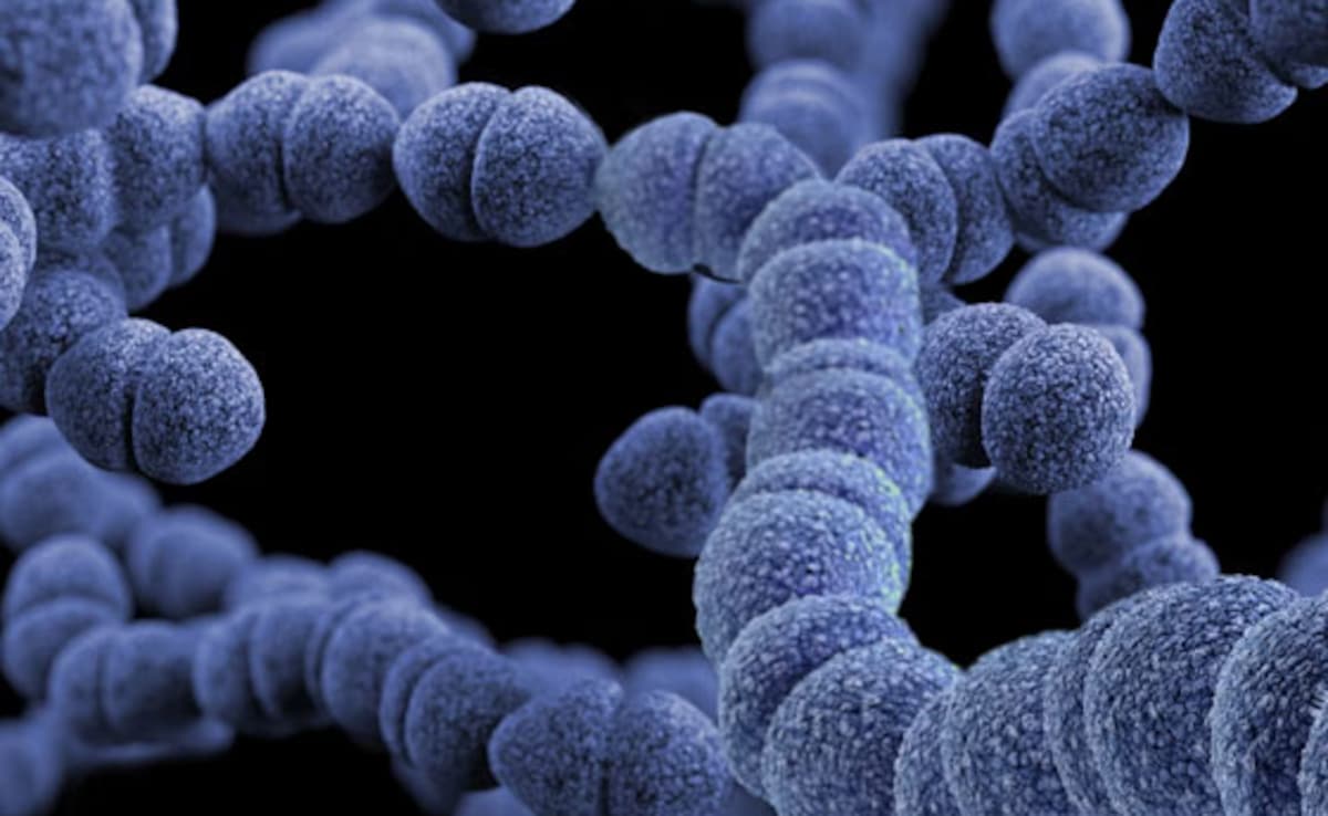 India's Superbug Crisis: Lancet Data Misinterpreted, Says Government Body