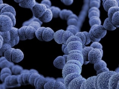 India's Superbug Risk Not Rising, Lancet Data Misinterpreted, Says NCDC