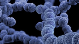 India's Superbug Crisis: Lancet Data Misinterpreted, Says Government Body