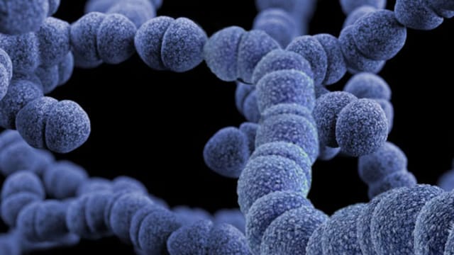 India's Superbug Crisis: Lancet Data Misinterpreted, Says Government Body