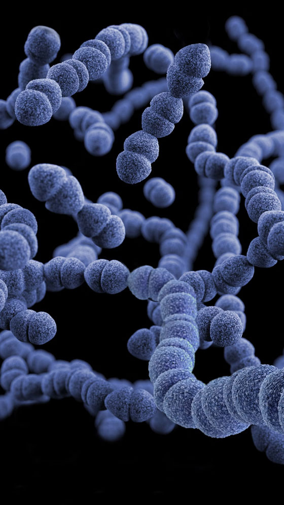 India's Superbug Crisis: Lancet Data Misinterpreted, Says Government Body