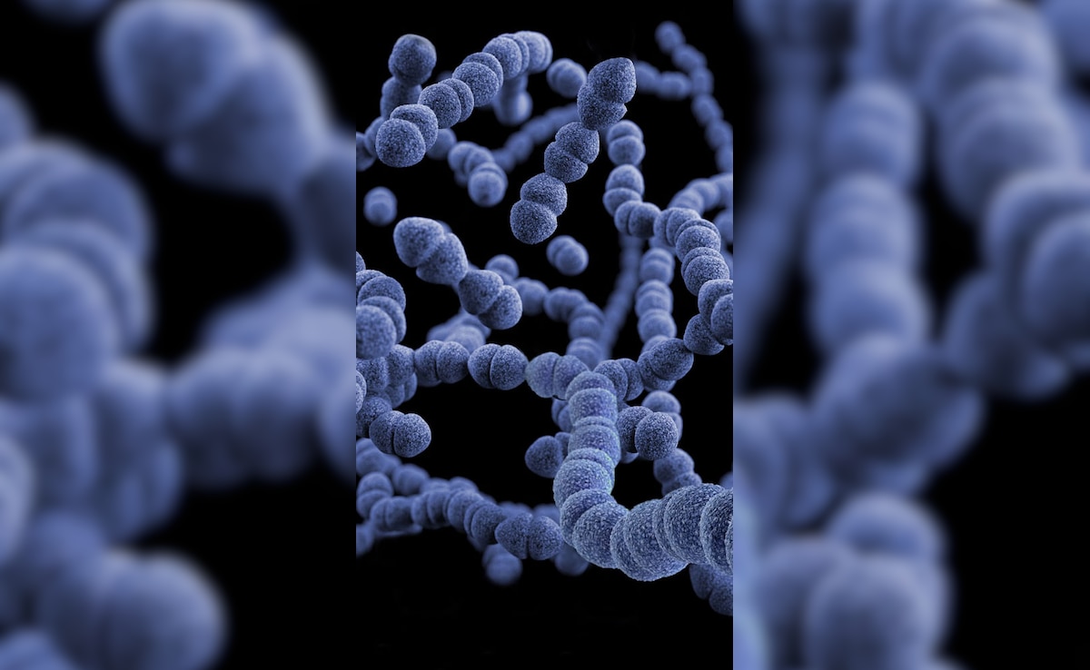 Flesh-Eating Bacteria Detected In Long Island Waters: Know How Dangerous It Is