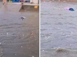 बिजली पोल से दौड़ा करंट, चपेट में आए 5 लोग सड़क पर पानी की तेज धार में बहे; एक की मौत, सामने आया खौफनाक वीडियो