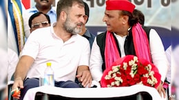 After Haryana Poll Shock, Congress Faces Samajwadi Party's Bypoll Snub