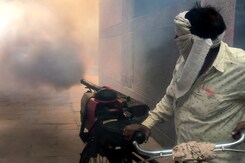 Dengue Spreads In Bengaluru, Over 1,000 Cases Recorded In June Dengue Spreads In Bengaluru, Over 1,000 Cases Recorded In June