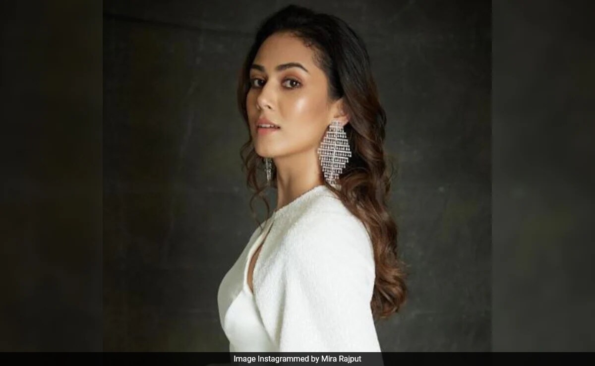 Mira Rajput Regrets Her "Puppies" Comment: "It's About Time I Am Forgiven For That"