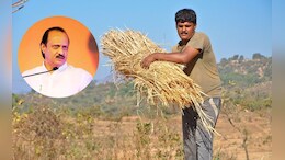 शेतकऱ्यांचं वीज बिल माफ होणार, आजच्या अर्थसंकल्पात शेतकऱ्यांसाठी कोणकोणत्या घोषणा?